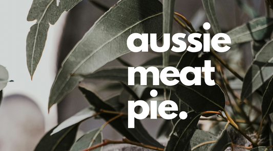 Rich and Chunky Aussie Meat Pie - Leasa Hilton